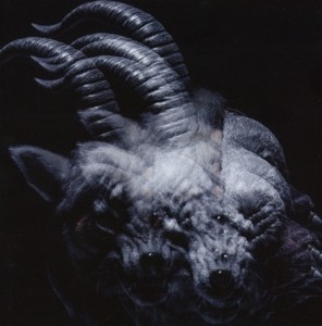 Gazette - Beautiful Deformity [CD] | Echo's Record Bar Online Store