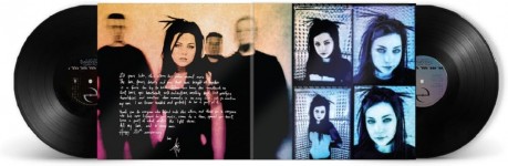Evanescence - Fallen (20th Anniversary Edition) [VINYL] | Echo's